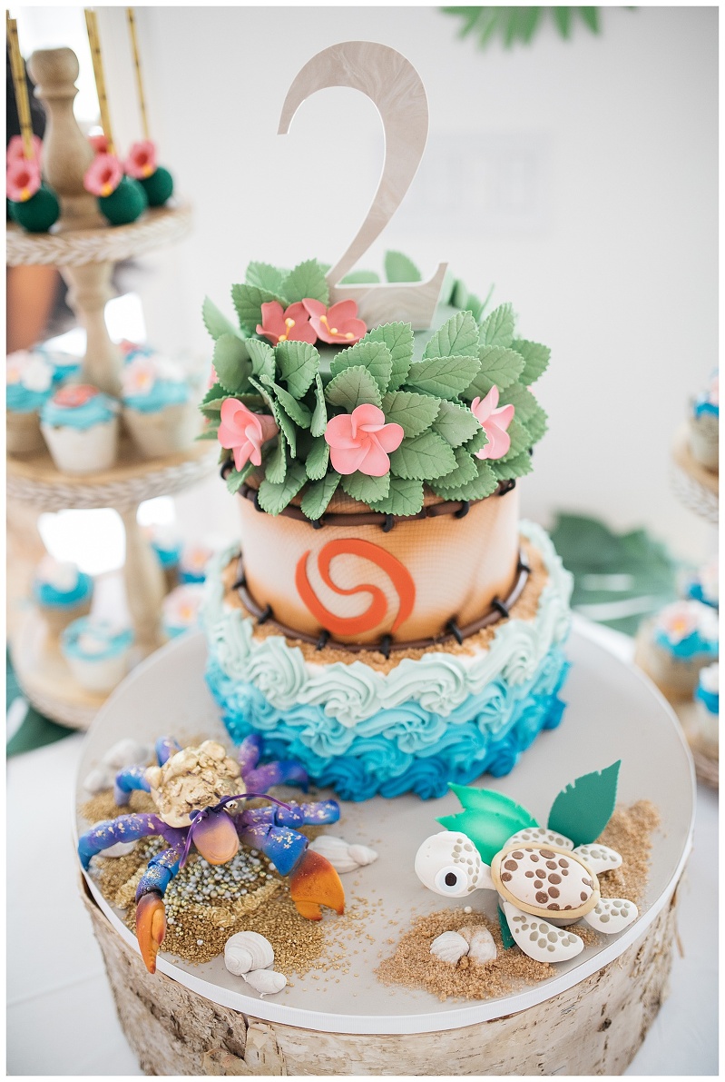 Moana Smash Cake Ideas Wiki Cakes